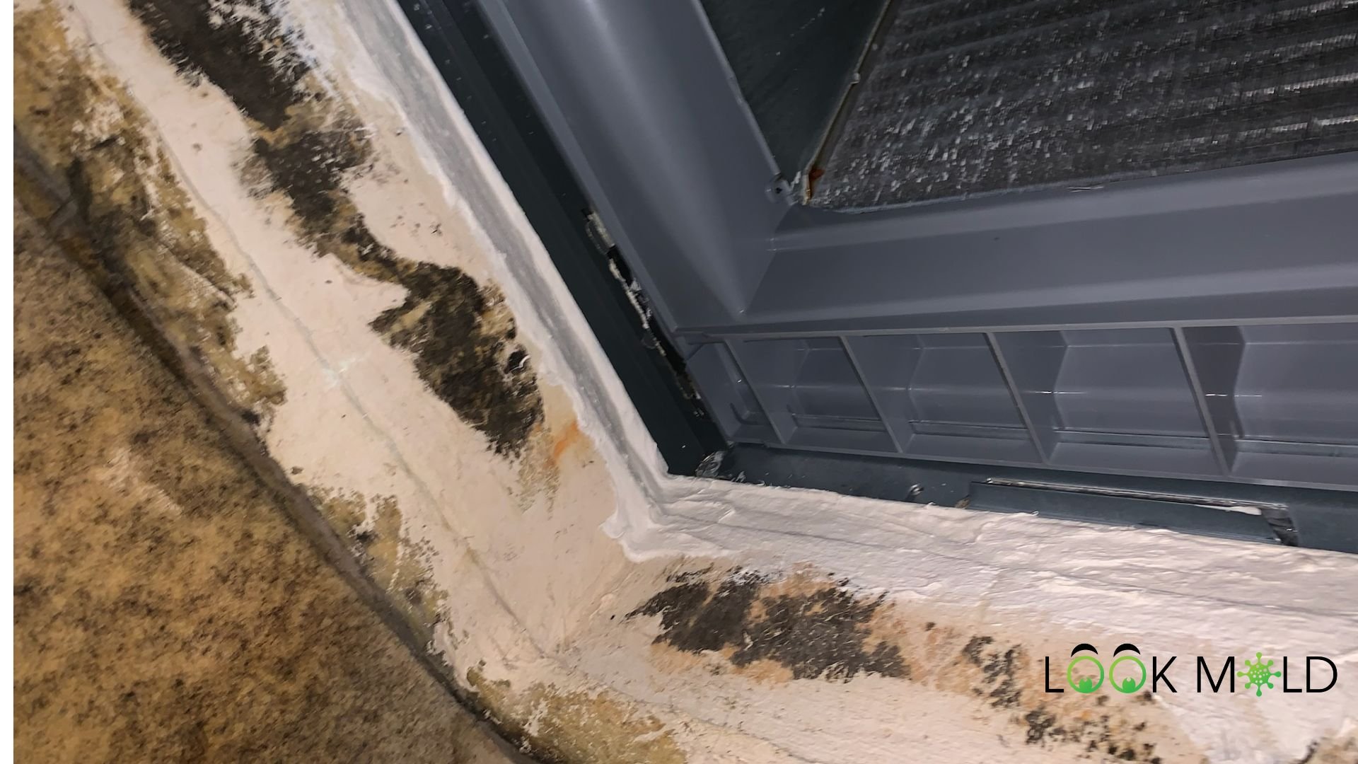 Mold%20on%20HVAC%20Plenum