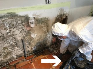 mold-disposal