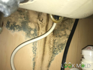 Black-Mold-Under-Sink